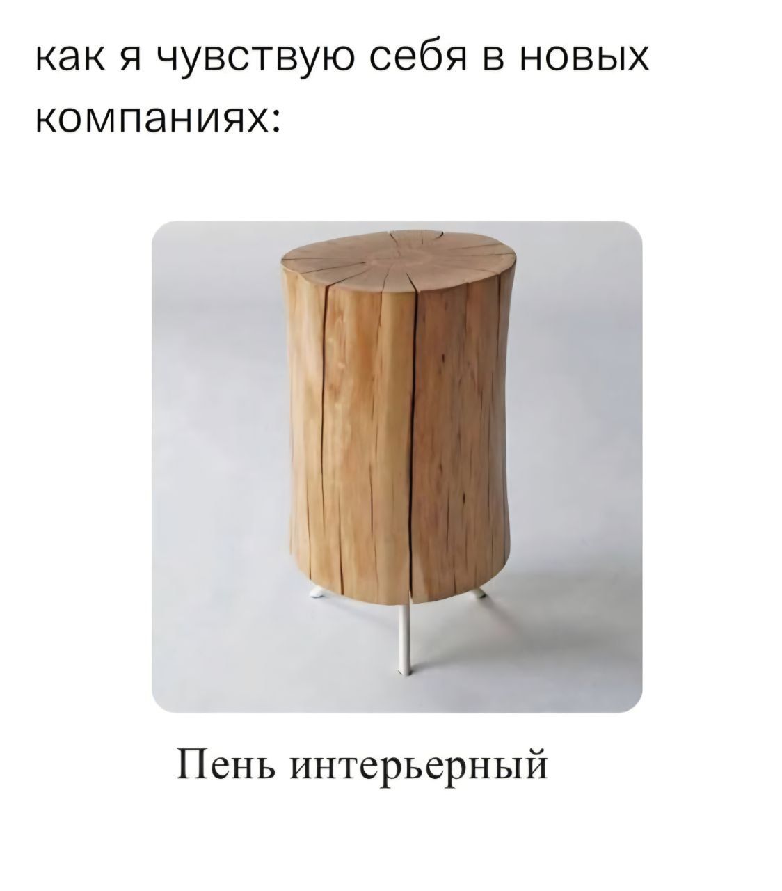 как я чувствую себя в новых компаниях:
Пень интерьерный