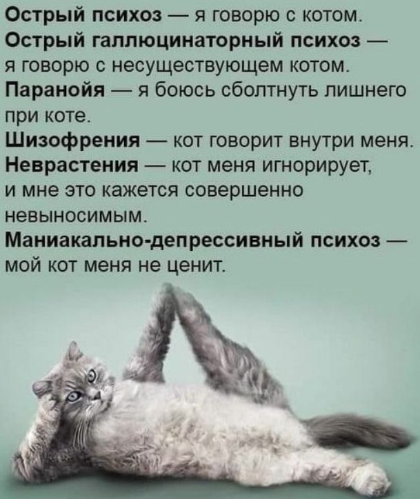 Острый психоз — я говорю с котом.
Острый галлюцинаторный психоз — я говорю с несуществующим котом.
Паранойя — я боюсь сболтнуть лишнего при коте.
Шизофрения — кот говорит внутри меня.
Неврастения — кот меня игнорирует, и мне это кажется совершенно невиносимым.
Маниакально-депрессивный психоз — мой кот меня не ценит.