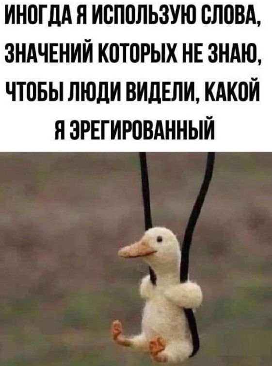 ИНОГДА Я ИСПОЛЬЗУЮ СЛОВА, ЗНАЧЕНИЙ КОТОРЫХ НЕ ЗНАЮ, ЧТОБЫ ЛЮДИ ВИДЕЛИ, КАКОЙ Я ЭРЕГИРОВАННЫЙ