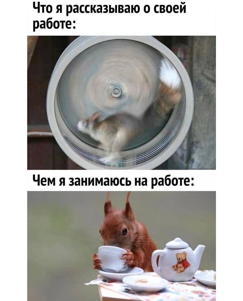 Что я рассказываю о своей работе:
Чем я занимаюсь на работе: