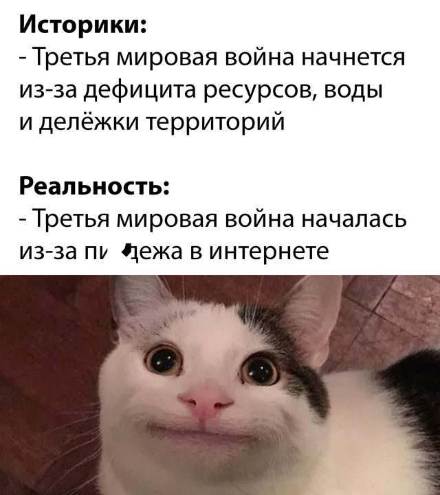 Историки:
- Третья мировая война начнется из-за дефицита ресурсов, воды и делёжки территорий

Реальность:
- Третья мировая война началась из-за пи 💩 ежа в интернете
