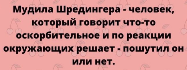 Мудила Шредингера - человек, который говорит что-то оскорбительное и по реакции окружающих решает - пошутил он или нет.