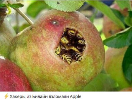 Хакеры из Билайн взломали Apple