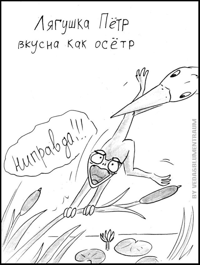 Лягушка Пётр вкусна как осётр
неправда!!!