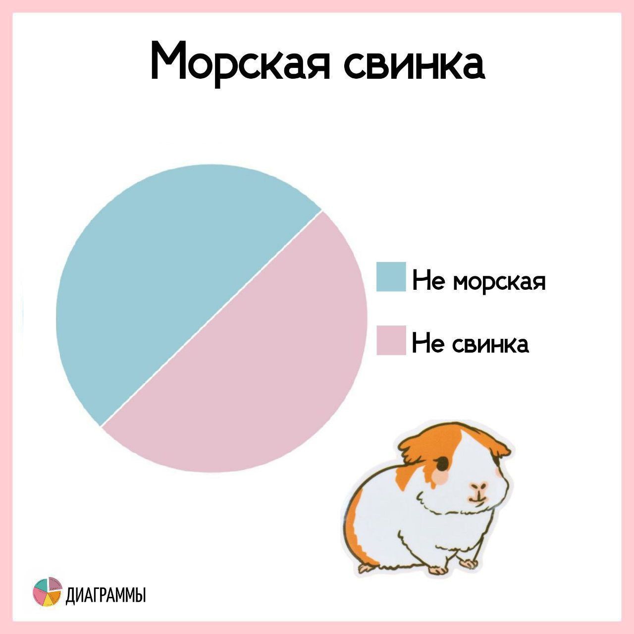 Морская свинка

Не морская      Не свинка