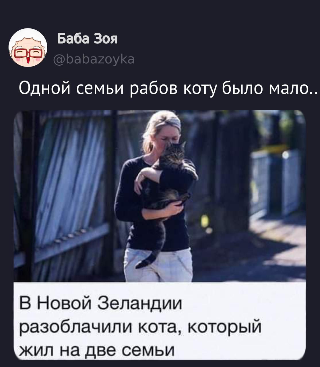 Одной семье рабов коту было мало.. В Новой Зelandии разоблачили кота, который жил на две семьи