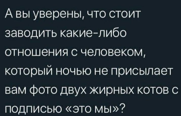 А вы уверены, что стоит заводить какие-либо отношения с человеком, который ночью не присылает вам фото двух жирных котов с подписью «это мы»?