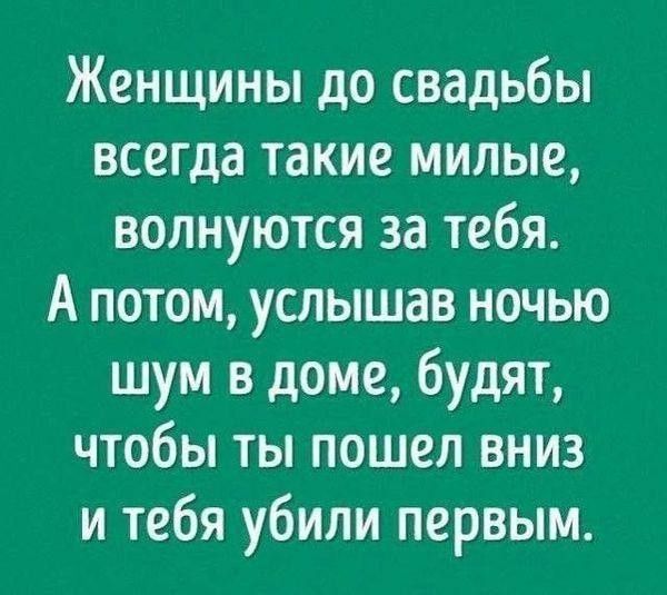 Женщины до свадьбы всегда такие милые, волнуются за тебя. А потом, услышав ночью шум в доме, будят, чтобы ты пошел вниз и тебя убили первым.