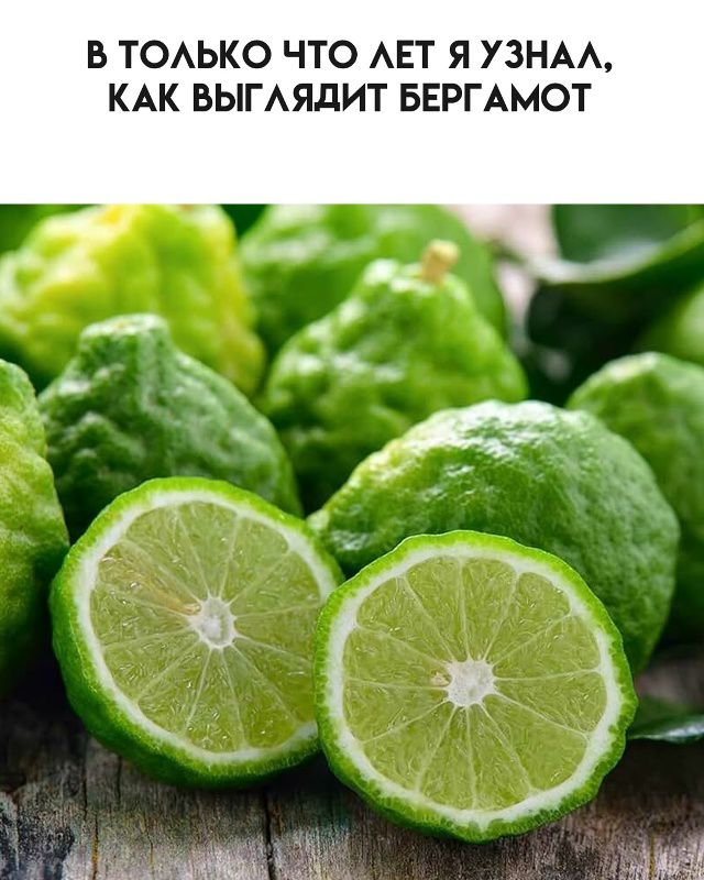 В только что лет я узнал, как выглядит бергамот