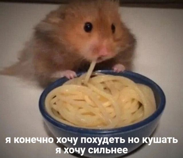 я конечно хочу похудеть но кушать я хочу сильнее