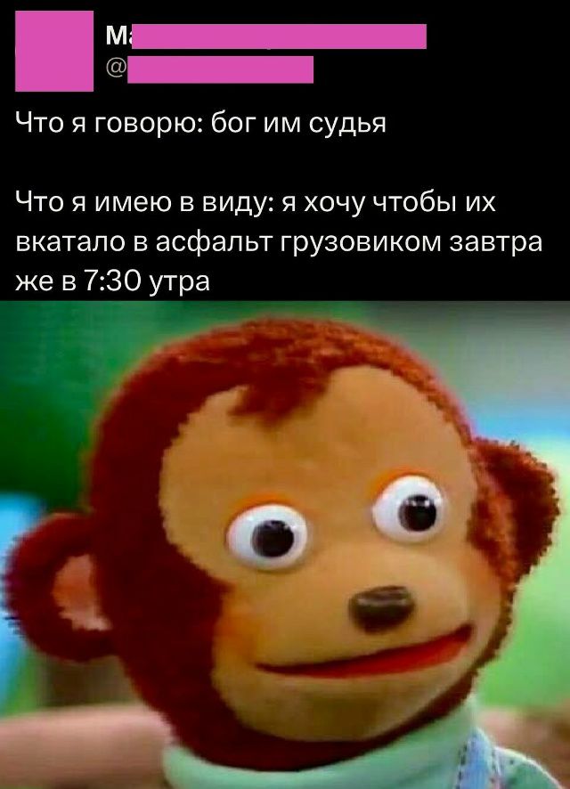 Что я говорю: бог им судья
Что я имею в виду: я хочу чтобы их вкатало в асфальт грузовиком завтра же в 7:30 утра