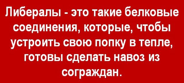 Либералы - это такие белковые соединения, которые, чтобы устроить свою попку в тепле, готовы сделать навоз из сограждан.