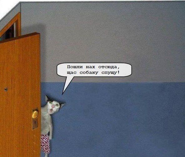 Пошли нах отсюда, щас собаку спущу!