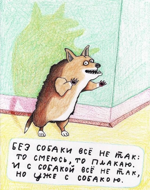 БЕЗ СОБАКИ ВСЁ НЕ ТАК: ТО СМЕЮСЬ, ТО ПЛАКАЮ. И С СОБАКОЙ ВСЁ НЕ ТАК, НО УЖЕ С СОБАКОЙ.