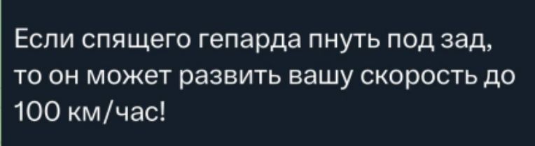 Если спящего гепарда пнуть под зад, то он может развить вашу скорость до 100 км/час!