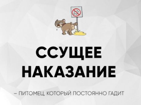 ССУШЕЕ НАКАЗАНИЕ
– ПИТОМЕЦ, КОТОРЫЙ ПОСТОЯННО ГАДИТ