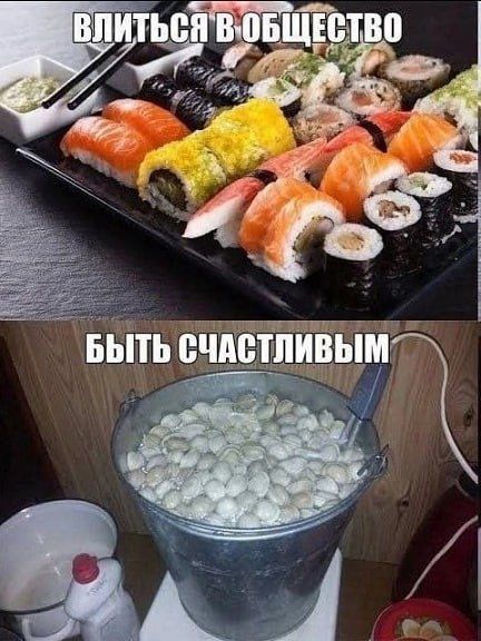 ВЛИТЬСЯ В ОБЩЕСТВО
БЫТЬ СЧАСТЛИВЫМ
