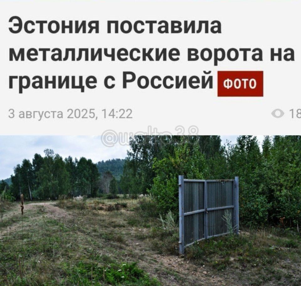 Эстония поставила металлические ворота на границе с Россией
3 августа 2025, 14:22