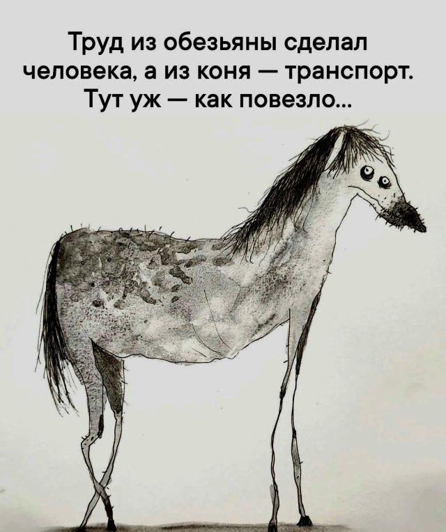 Труд из обезьяны сделал человека, а из коня — транспорт. Тут уж — как повезло...
