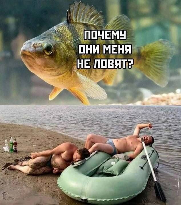 ПОЧЕМУ ОНИ МЕНЯ НЕ ЛОВЯТ?