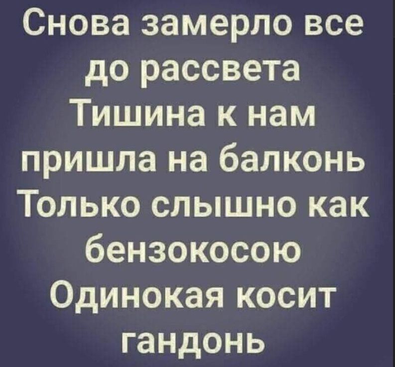 Снова замерло все до рассвета
Тишина к нам пришла на балконь
Только слышно как бензокосою
Одинокая косит гандонь