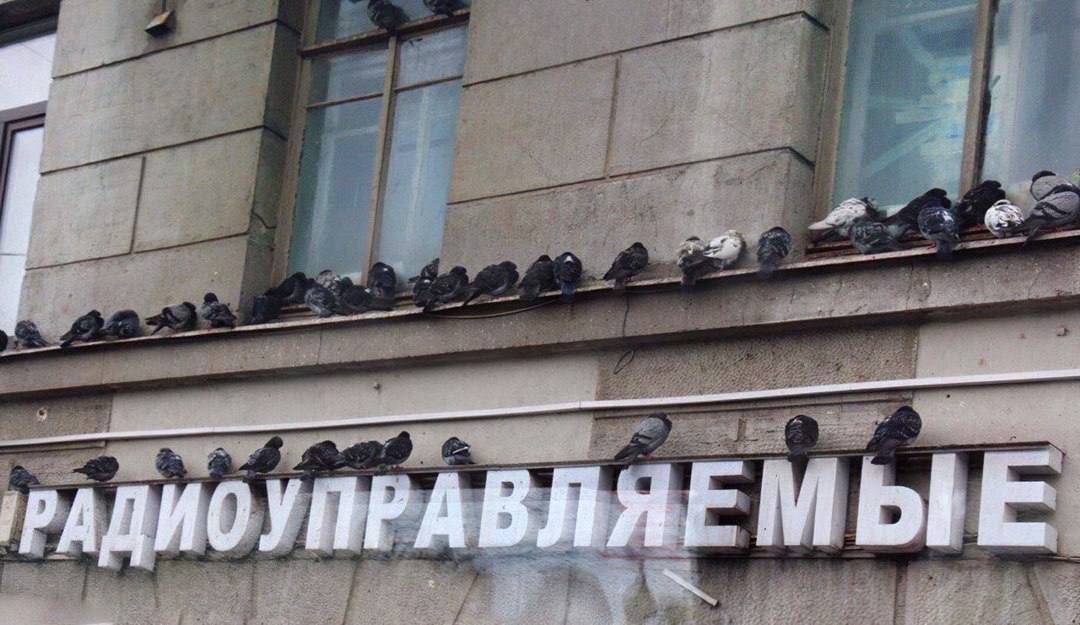 РАДИОУПРАВЛЯЕМЫЕ