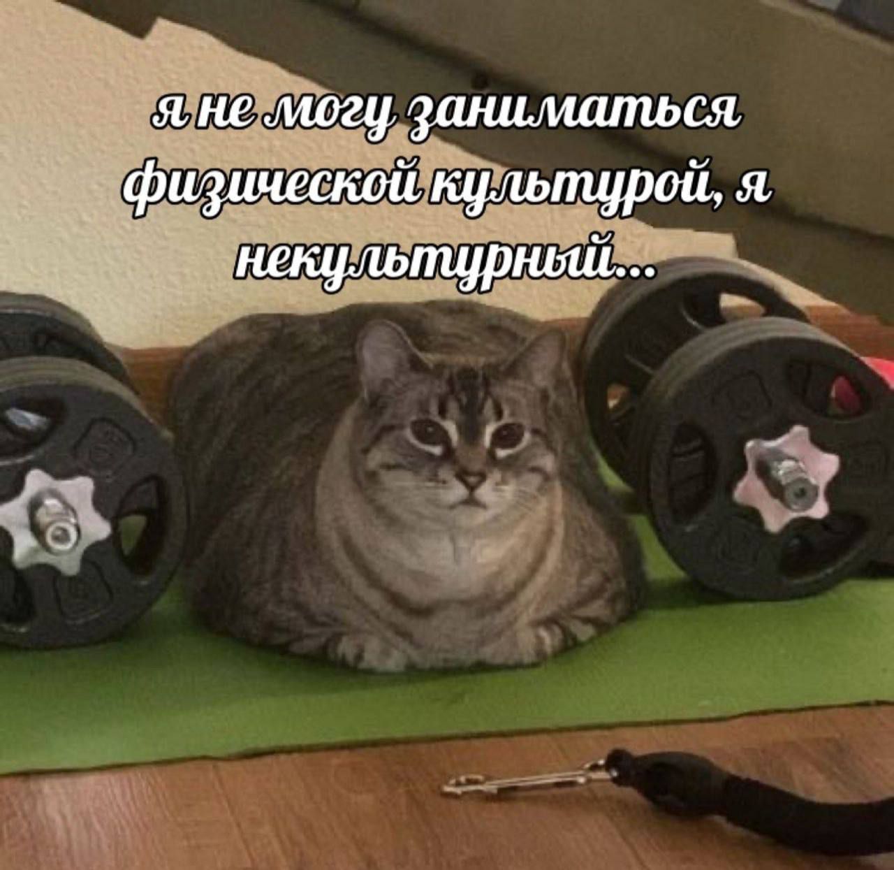 я не могу заниматься физической культурой, я некультурный...