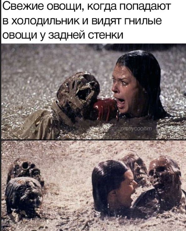 Свежие овощи, когда попадают в холодильник и видят гнилые овощи у задней стенки