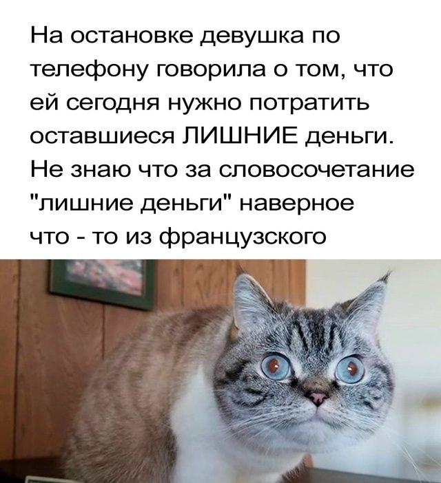 На остановке девушка по телефону говорила о том, что ей сегодня нужно потратить оставшиеся ЛИШНИЕ деньги. Не знаю что за словосочетание 