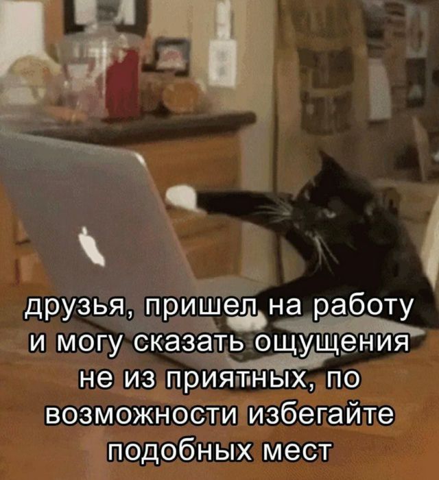 друзья, пришел на работу и могу сказать ощущения не из приятных, по возможности избегайте подобных мест