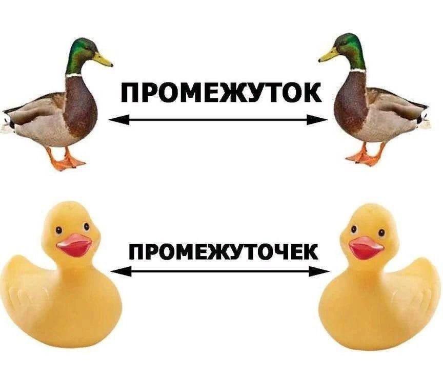 ПРОМЕЖУТОК
ПРОМЕЖУТОЧЕК
