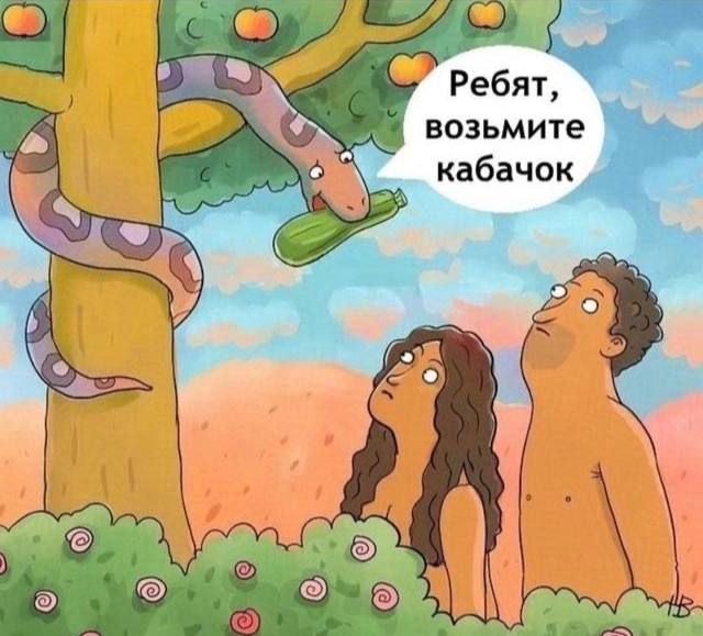 Ребят, возьмите кабачок