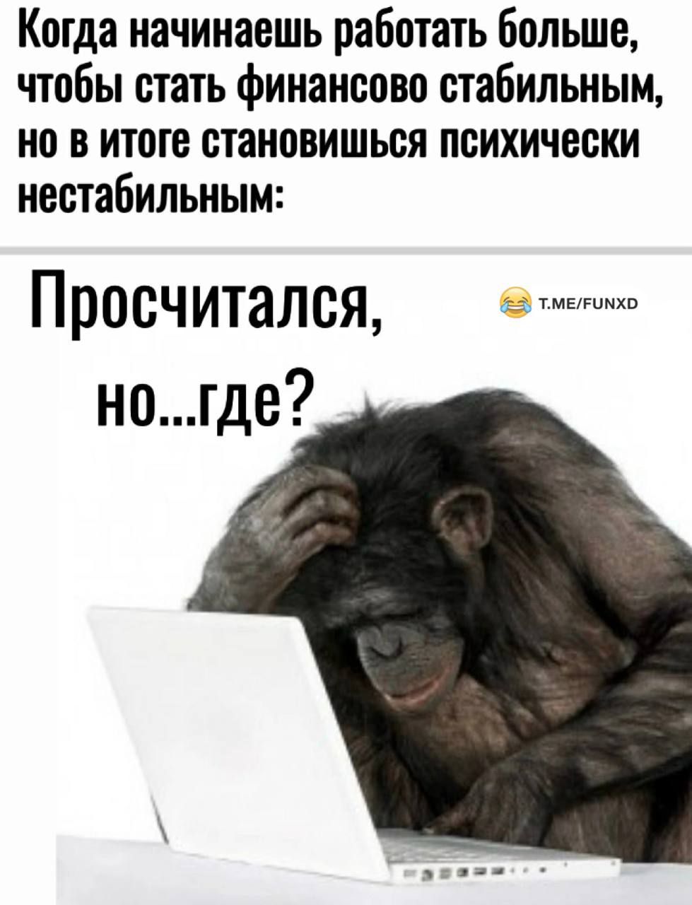 Когда начинаешь работать больше, чтобы стать финансово стабильным, но в итоге становишься психически нестабильным:
Просчитался, но...где?