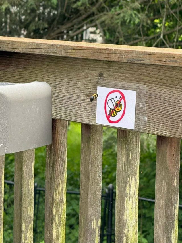 No Bee