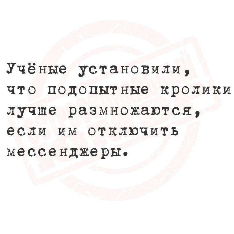 Учёные установили, что подопытные кролики лучше размножаются, если им отключить мессенджеры.