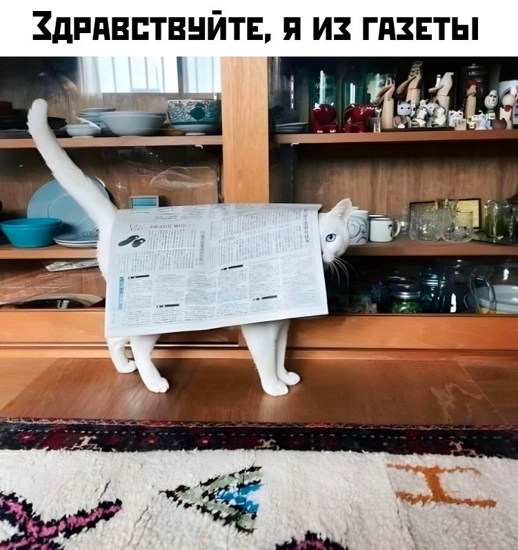 Здравствуйте, я из газеты