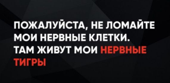 ПОЖАЛУЙСТА, НЕ ЛОМАЙТЕ МОИ НЕРВНЫЕ КЛЕТКИ. ТАМ ЖИВУТ МОИ НЕРВНЫЕ ТИГРЫ.