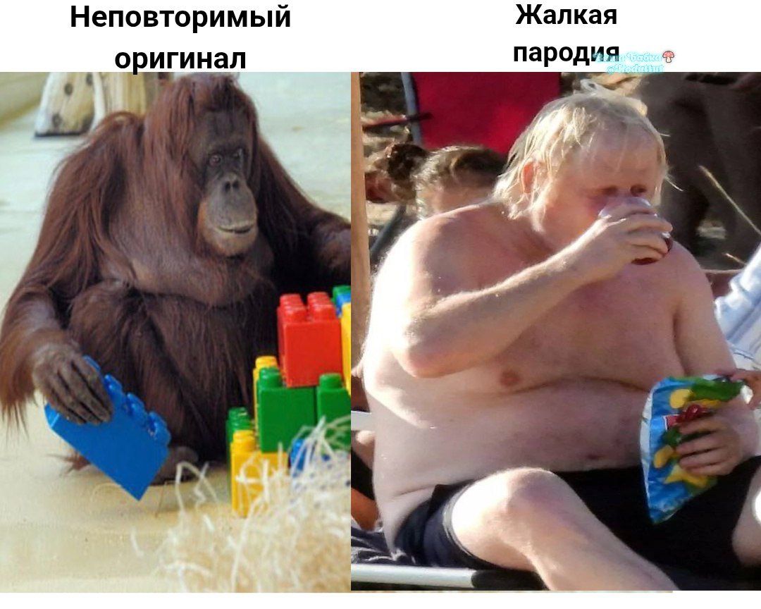Неповторимый оригинал
Жалкая пародия