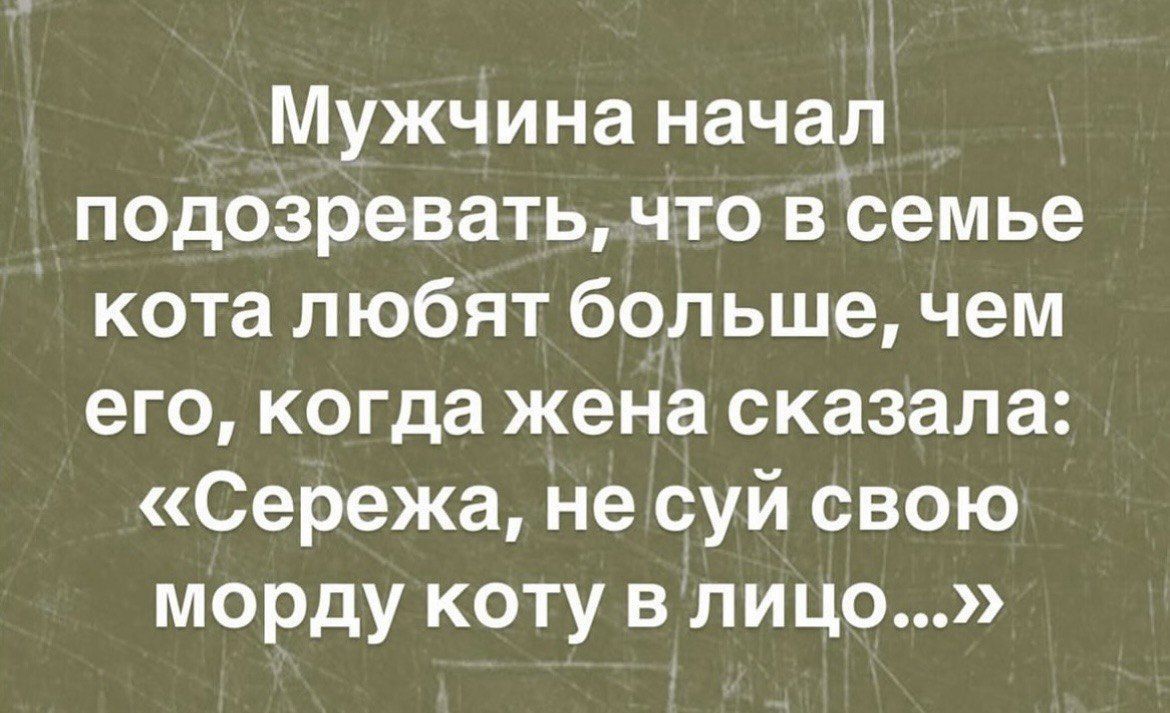 Мужчина начал подозревать, что в семье кота любят больше, чем его, когда жена сказала: «Серёжа, не суй свою морду коту в лицо...»