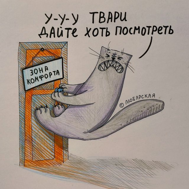 У-У-У ТВАРИ ДАЙТЕ ХОТЬ ПОСМОТРЕТЬ
ЗОНА КОМФОРТА