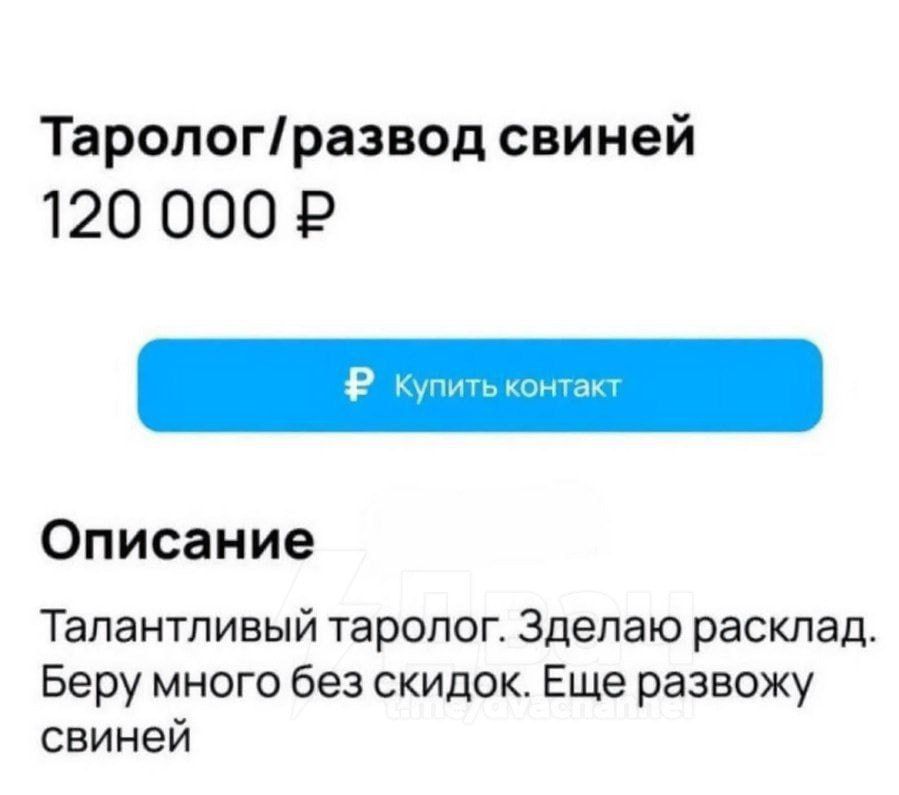 Таролог/развод свиней
120 000 ₽
Описание
Талантливый таролог. Сделаю расклад. Беру много без скидок. Еще развожу свиней