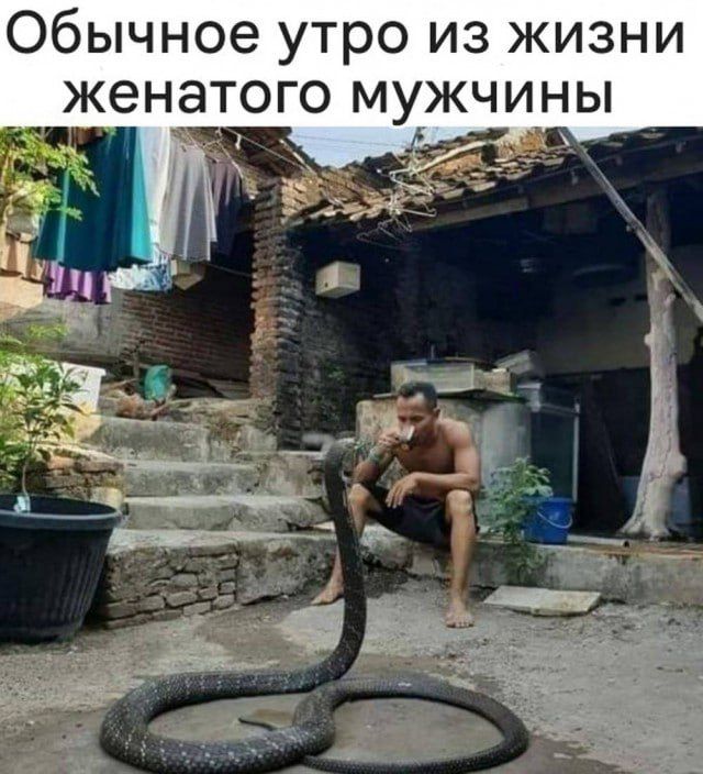 Обычное утро из жизни женатого мужчины