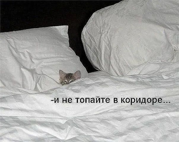 - и не топайте в коридоре...