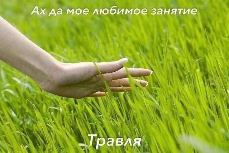 Ах да мое любимое занятие
Травля