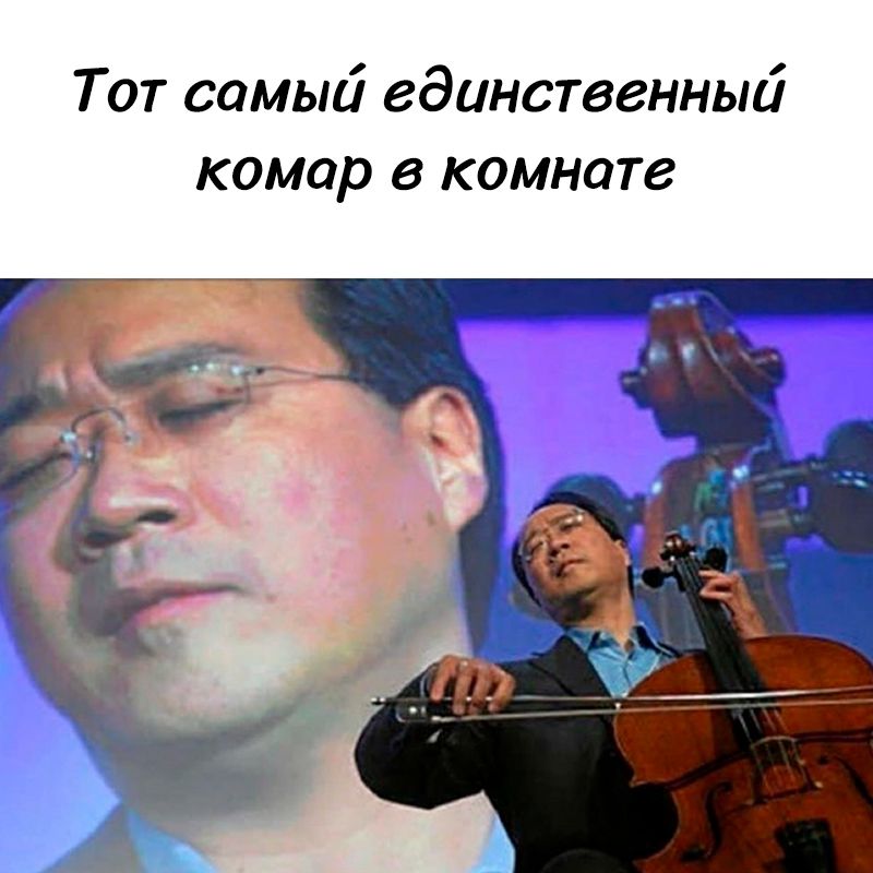 Тот самый единственный комар в комнате
