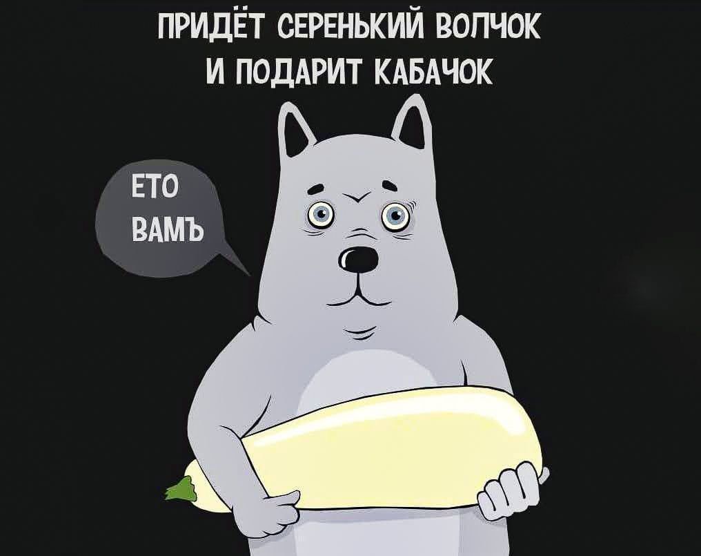 ПРИДЁТ СЕРЕНЬКИЙ ВОЛЧОК И ПОДАРИТ КАБАЧОК ETO ВАМ