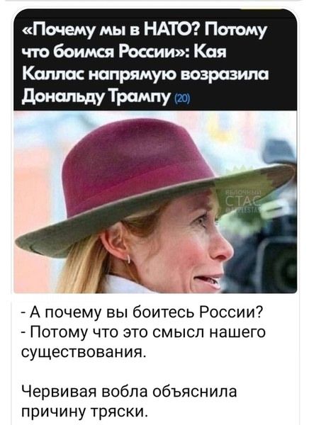 «Почему мы в НАТО? Потому что боимся России»: Кая Каллас напрямую возразила Дональду Трампу (20)

- А почему вы боитесь России? 
- Потому что это смысл нашего существования.

Червивая вобла объяснила причину тряски.