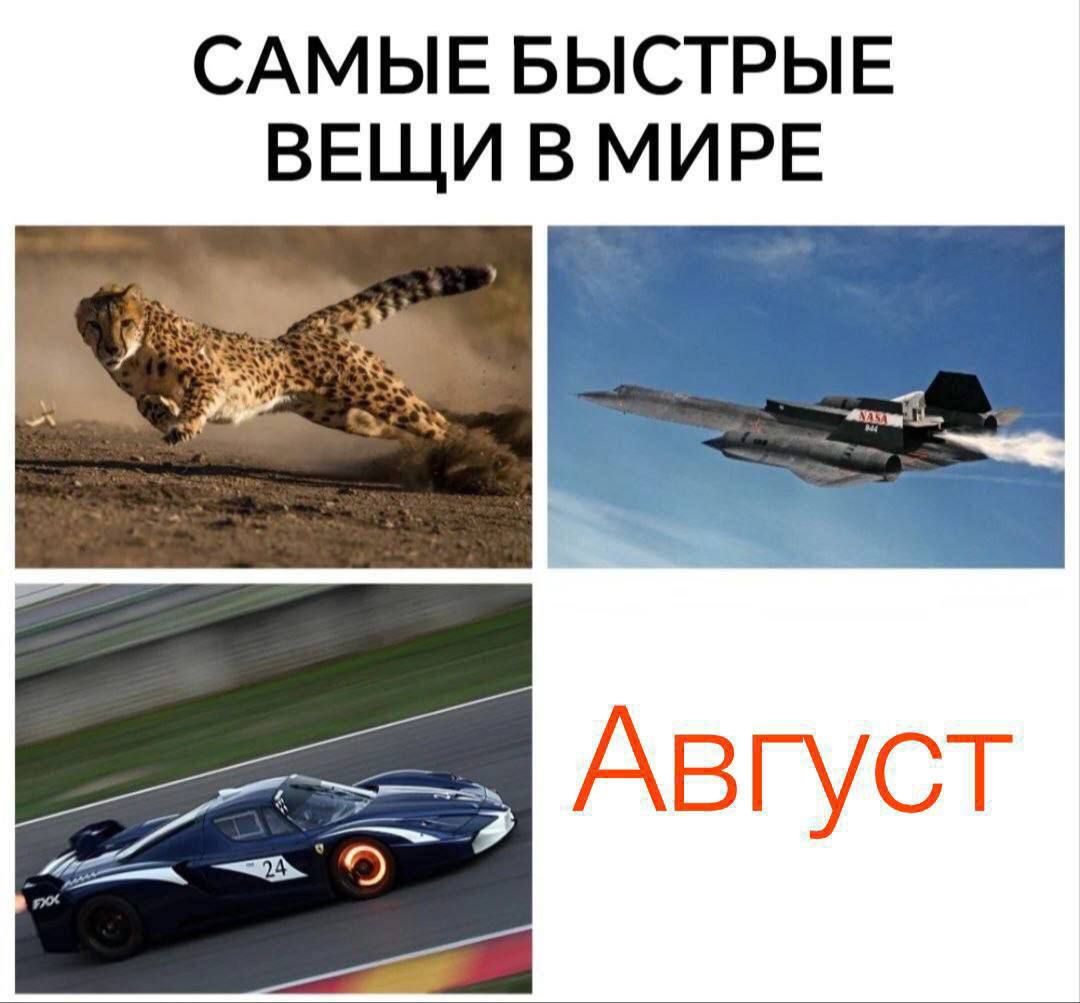 САМЫЕ БЫСТРЫЕ ВЕЩИ В МИРЕ
Август