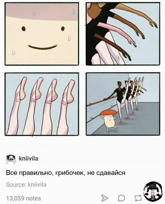 Все правильно, грибочек, не сдавайся