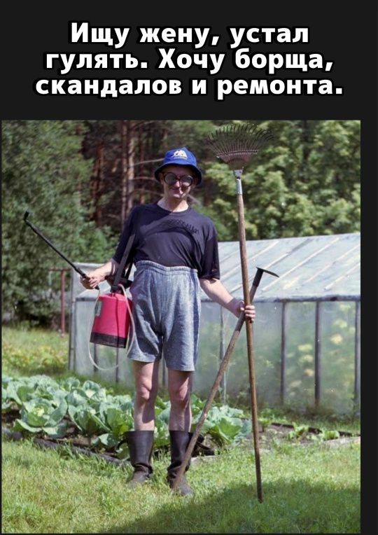 Ищу жену, устал гулять. Хочу борща, скандалов и ремонта.